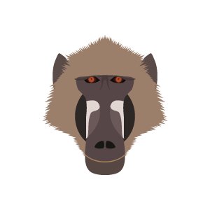 grayfoot baboon face