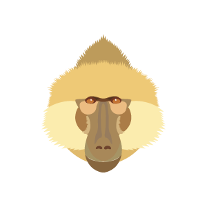 Kinda baboon face